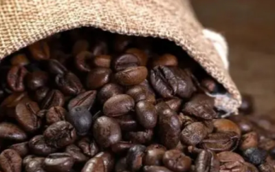 COFFEE BEANS EXPORTED BY SEA
