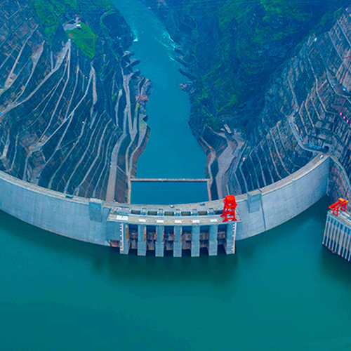 Customs coordination